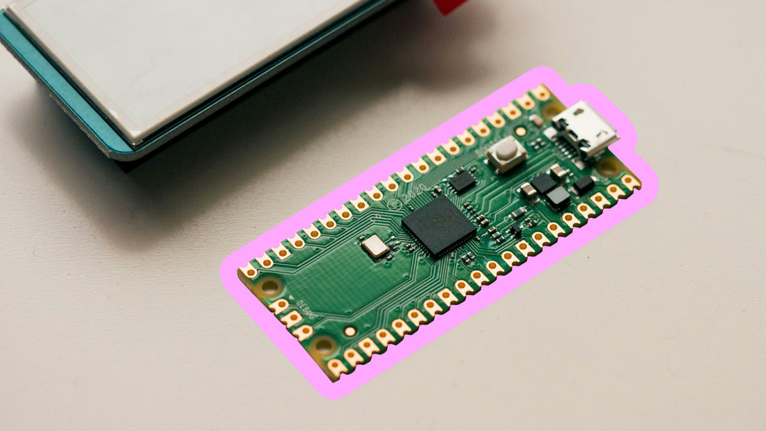 A Letter from Cleo — What Our Earthshot Prize Nomination Means to Me, and to Redyoos