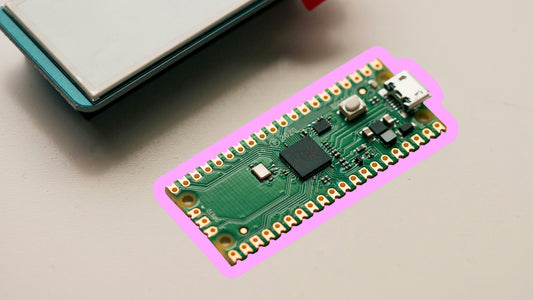 A Letter from Cleo — What Our Earthshot Prize Nomination Means to Me, and to Redyoos