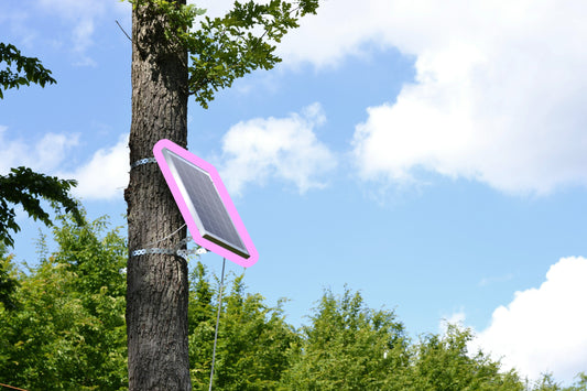 Celebrating Earth Month 2025: Easy Recycling Ideas You Can Do This Month