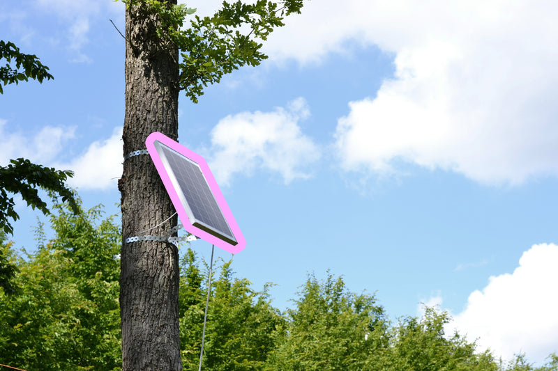 Celebrating Earth Month 2025: Easy Recycling Ideas You Can Do This Month