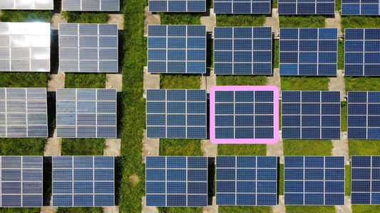 Redyoos at Cannes — Cleo Joins Global Leaders at the “No Permission” Dinner to Reimagine Circularity and Change